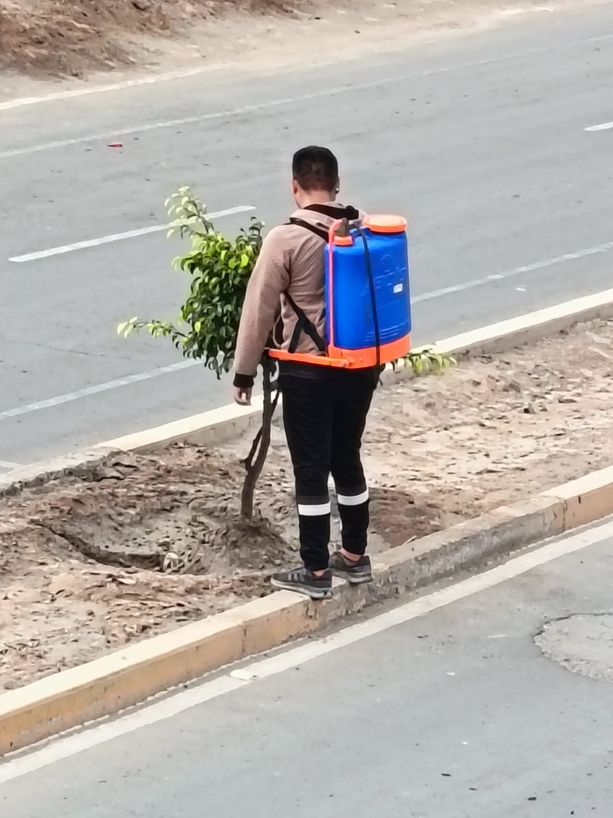 Apoyo técnico en campo